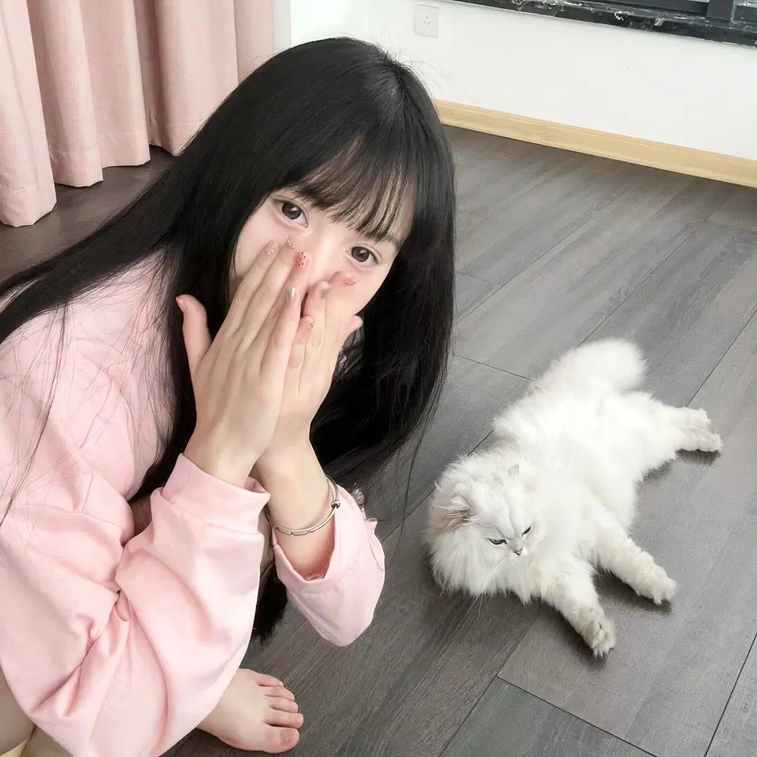 不接吻名单